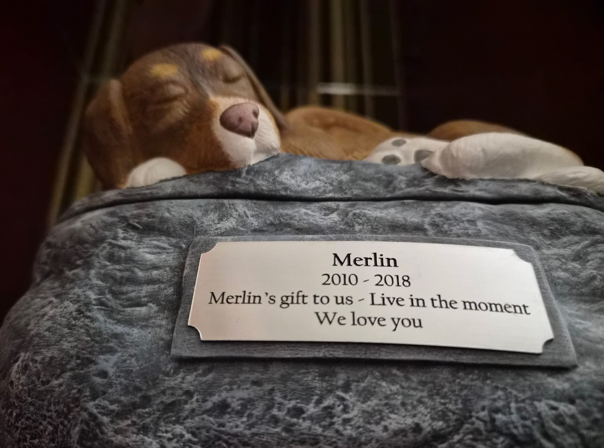 A memorial plaque for Merlin reading “Live in the moment”